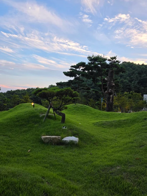 푸른 잔디 언덕 위의 소나무와 노을 지는 하늘이 있는 공원 풍경