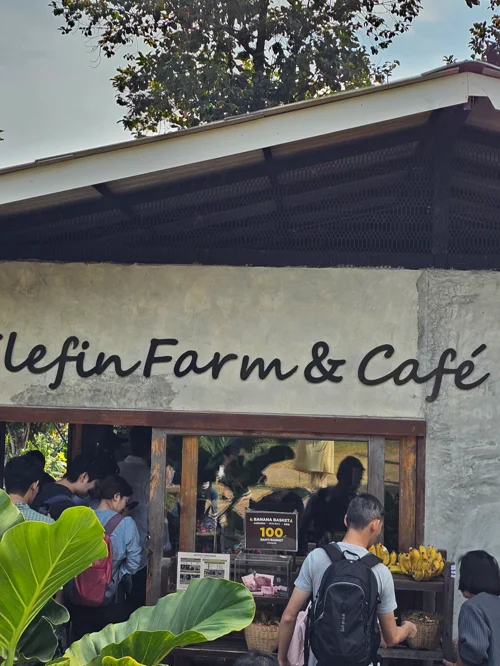 cleficFarm & Café 외관, 손님들이 입구 앞에 모여있는 모습