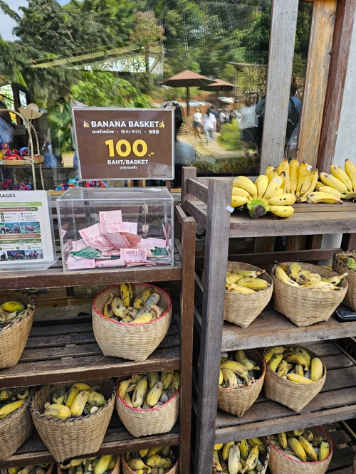 목재 진열대에 바구니에 담긴 바나나들과 100바트 가격표가 있는 치앙마이 바나나 가게