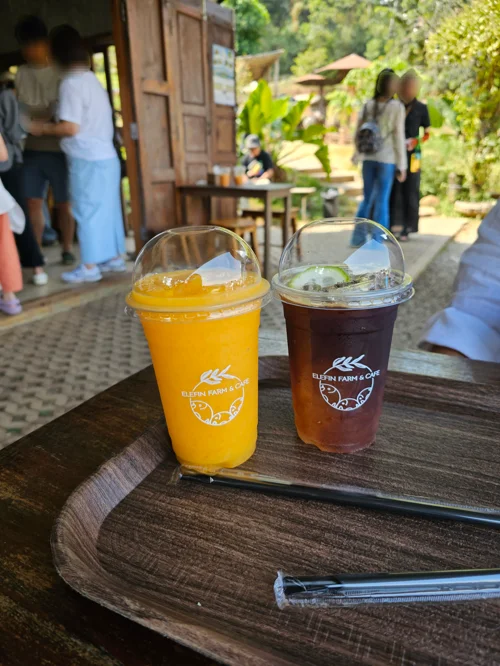 나무 쟁반 위 그린팜83 로고가 있는 오렌지 에이드와 아이스 음료 두 잔