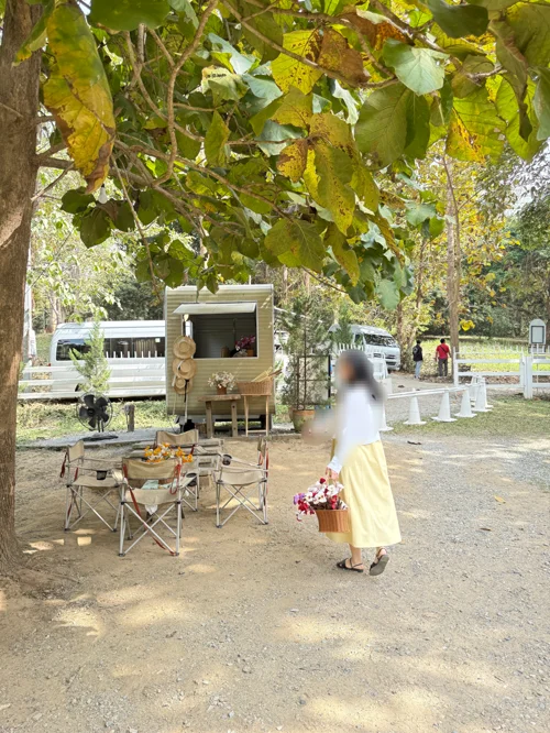 포도나무 그늘 아래 푸드트럭과 캠핑의자가 있는 가을 캠핑장 풍경