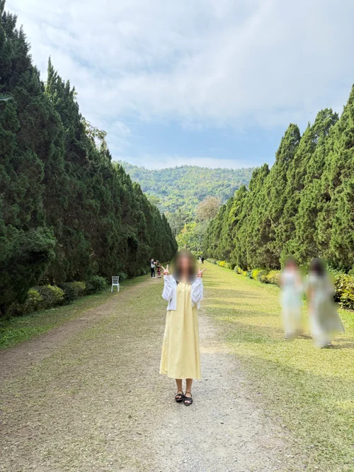 편백나무가 양쪽으로 늘어선 정원 산책로 중앙에 노란 원피스를 입고 서 있는 모습