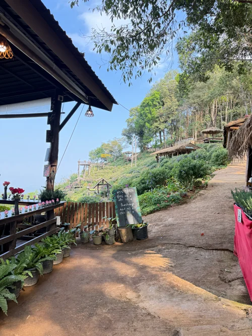 산 중턱의 목조 건물과 데크, 울창한 숲과 맑은 하늘이 보이는 야외 카페 전경