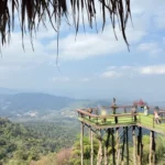 산 정상 전망대에서 관광객들이 녹색 산맥을 바라보는 모습