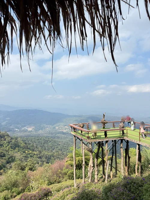 산 정상 전망대에서 관광객들이 녹색 산맥을 바라보는 모습
