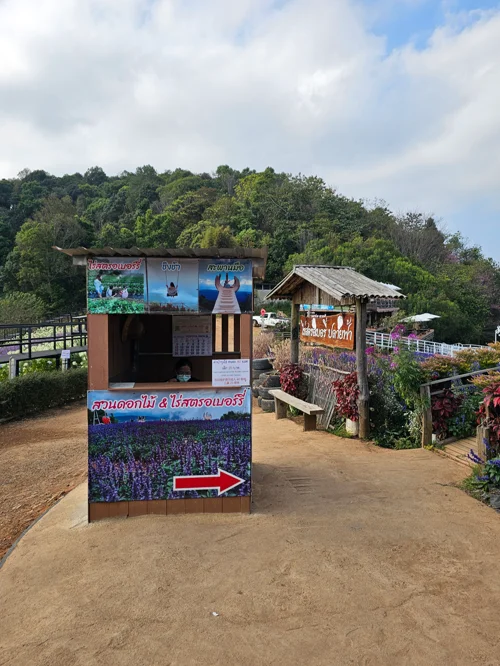 라벤더 밭 안내판과 목조 건물이 있는 태국 관광지 입구