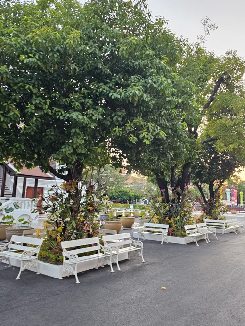 나무 그늘 아래 흰색 나무 벤치가 일렬로 배치된 공원 풍경