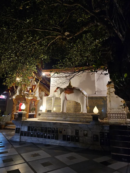 야간 조명을 받은 도이수텝 사원의 흰색 불탑과 코끼리 조각상