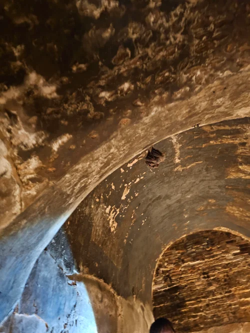 왓우몽 동굴 내부 아치형 천장 구조