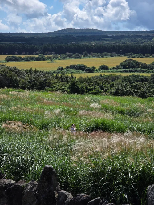 제주 오름을 배경으로 유채꽃밭과 초원이 펼쳐진 풍경