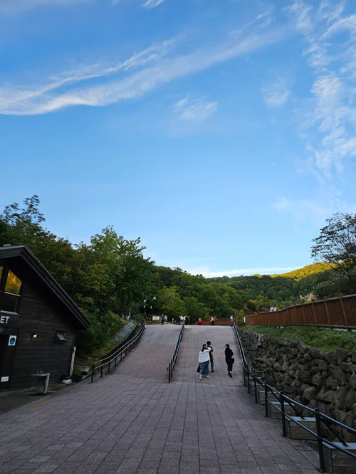 녹음이 우거진 산 앞 공원 경사로를 두 사람이 걸어가는 풍경