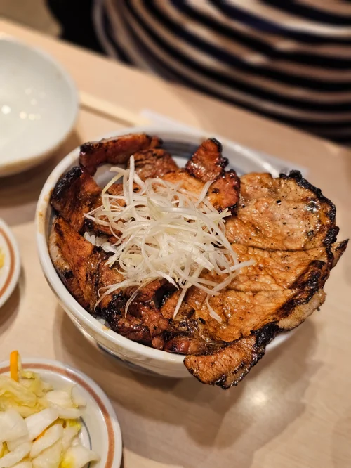 채 썬 대파가 올려진 일본식 돼지고기 덮밥 부타동