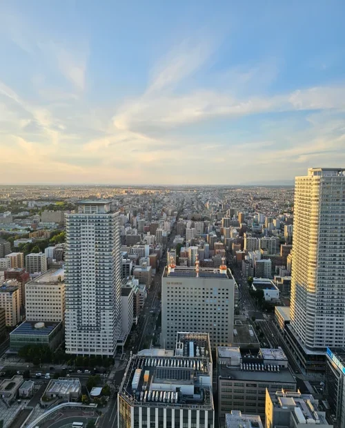 저녁 노을빛 아래 고층에서 내려다본 일본 도시의 광활한 스카이라인