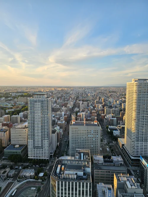 저녁 노을빛 아래 고층에서 내려다본 일본 도시의 광활한 스카이라인