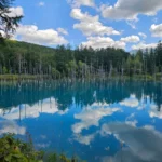 코발트 블루 수면에 고사목과 구름이 반영된 홋카이도 청의 연못 전경