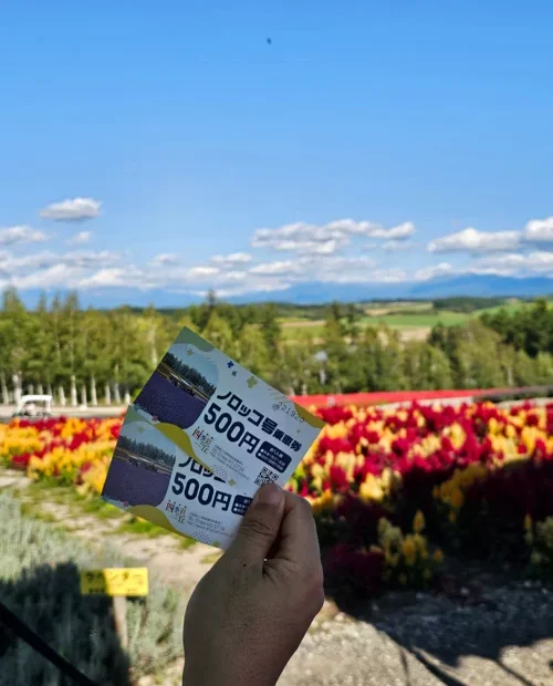 홋카이도 후라노 튤립 꽃밭 앞에서 노롯코호 기차 티켓 500엔권 두 장을 들고 있는 손