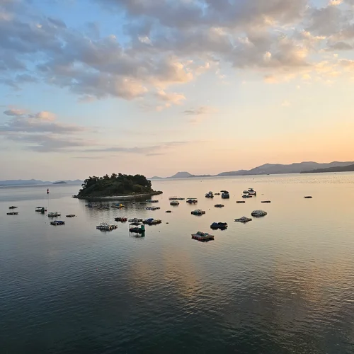 노을 지는 저녁 작은 섬과 양식장 부표가 떠 있는 여수 다도해 풍경